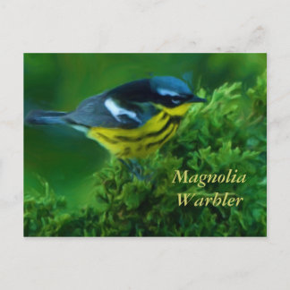 Magnolia Warbler-vykort Vykort