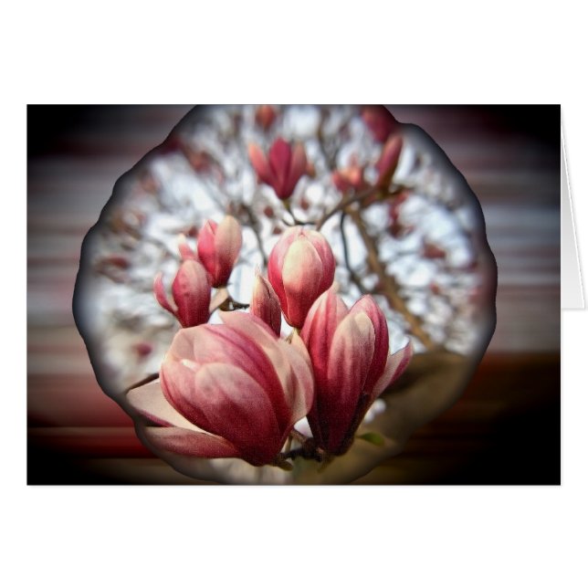 Magnolia Wood Hälsningskort (Framsidan Horizontal)