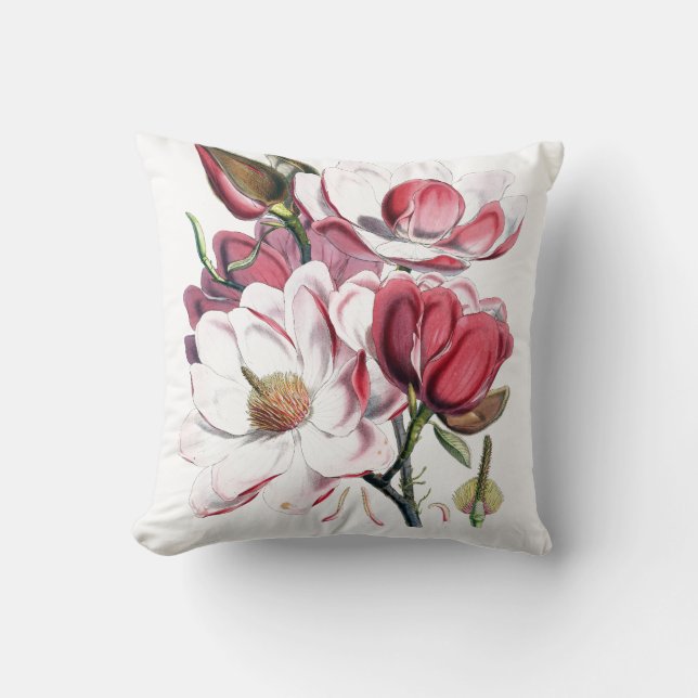 Magnoliaamerikanen MoJo kudder Kudde (Framsida)