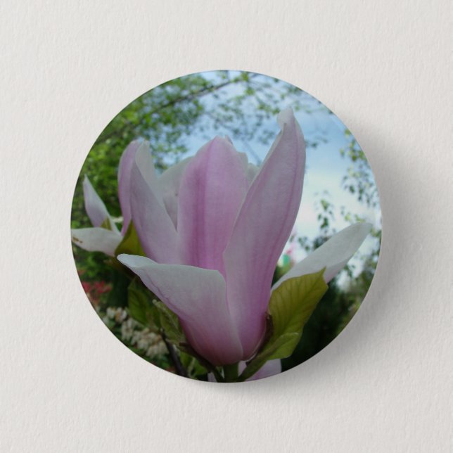 magnoliablomma knapp (Framsida)