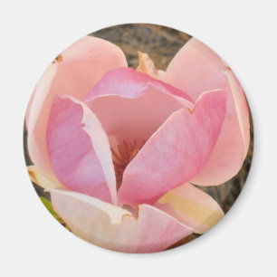 Magnoliablommar Magnet