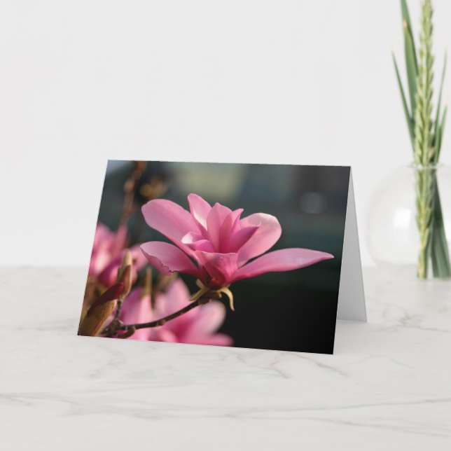 Magnoliablommar Notecard Kort (Framsida)