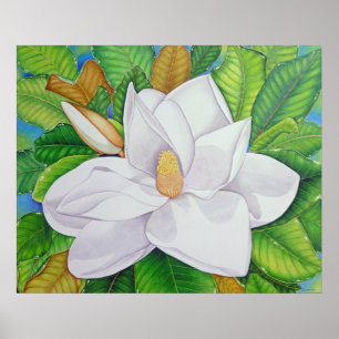 Magnoliablommar Poster