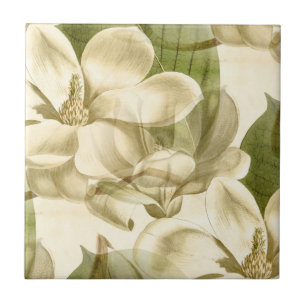 magnoliablommigtgrönt kakelplatta