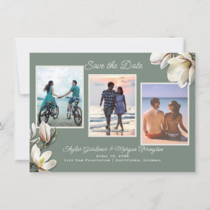 Magnoliablommor Tre Foto Bröllop Spara Datum Datumet