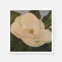 Magnoliablomning