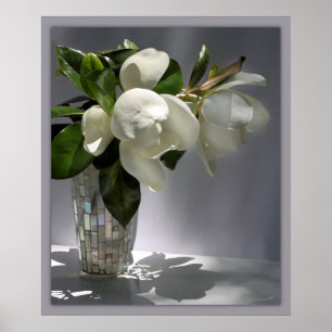 Magnoliabuketttryck -20x24 - annat poster