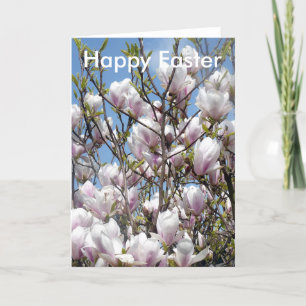 Magnoliaen blommar i kort för vårpåskhälsningar