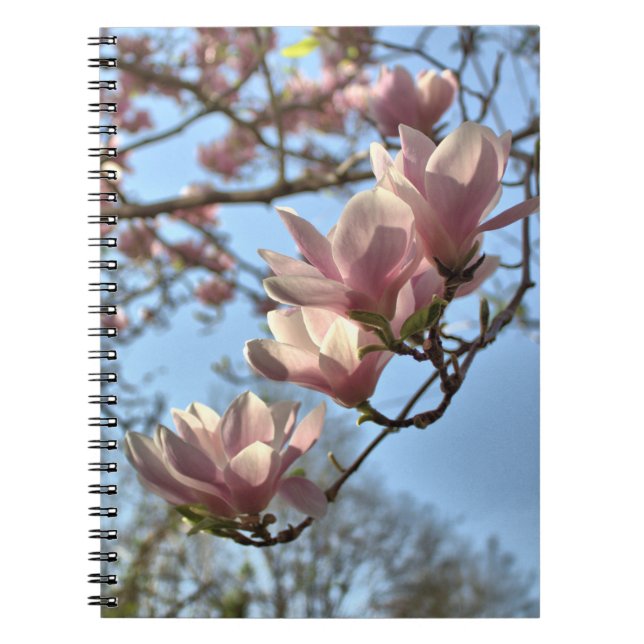 Magnoliaen blommar i vår anteckningsbok (Framsidan)