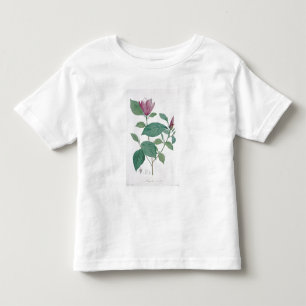 Magnoliaen missfärgar, inristat av Legrand (tänd T-shirt