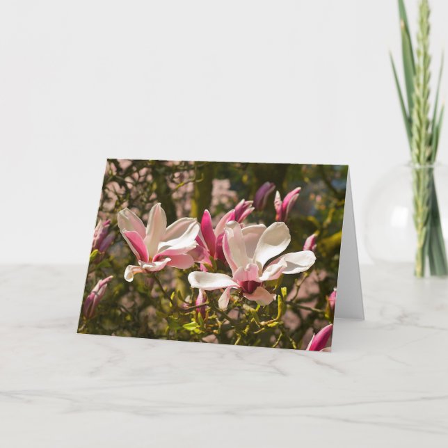 Magnoliahälsningkort Kort (Framsida)