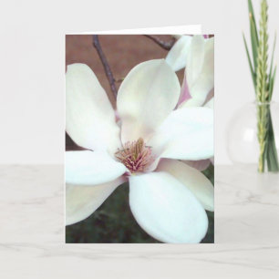 Magnoliahälsningkort Kort