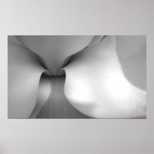 Magnoliakanvastryck Poster