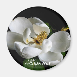 Magnoliamagnet Magnet