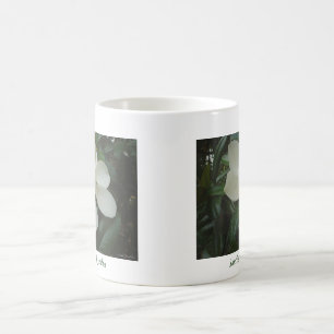 Magnoliamugg Kaffemugg