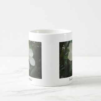 Magnoliamugg Kaffemugg