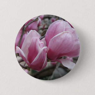 Magnoliarundan knäppas knapp