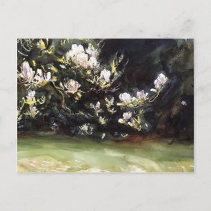 Magnolias av John Singer Sargent Vykort