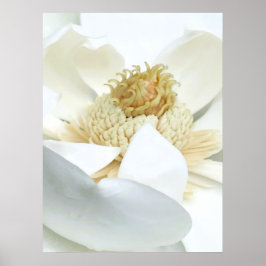 Magnolias blomning poster