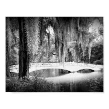 Magnolia's Bridge