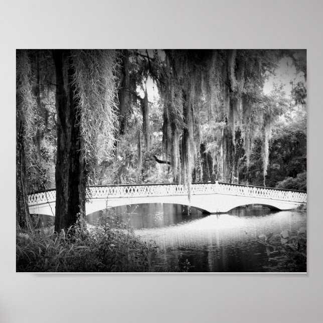 Magnolia's Bridge Poster (Framsidan)