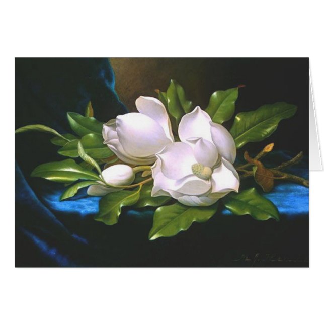 Magnolias on Blue Velvet Hälsningskort (Framsidan Horizontal)