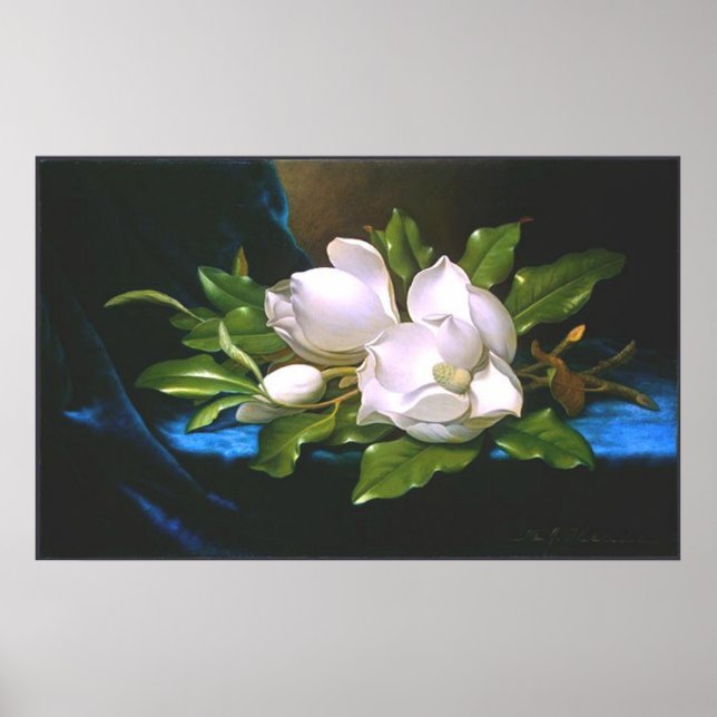 Magnolias on Blue Velvet Poster (Framsidan)