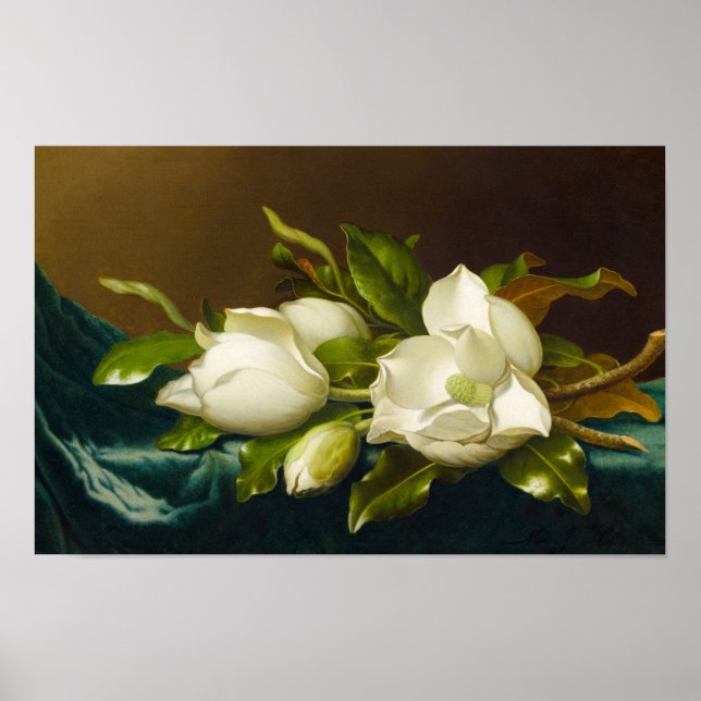 Magnolias on Light Blue Velvet Trasa av J Heade Poster (Framsidan)