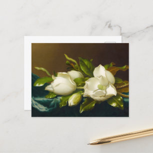 Magnolias on Light Blue Velvet Trasa av J Heade Vykort