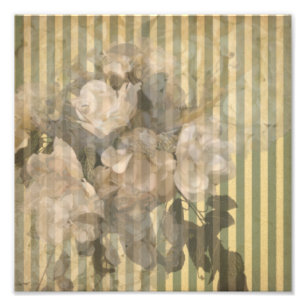 Magnolias på randvintagepapper fototryck