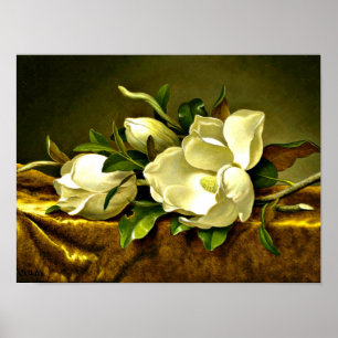 Magnolias vid Guld Velvet Trasa Poster