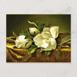 Magnolias vid Guld Velvet Trasa Vykort