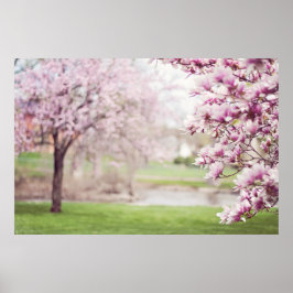 Magnoliaträd i blomning poster