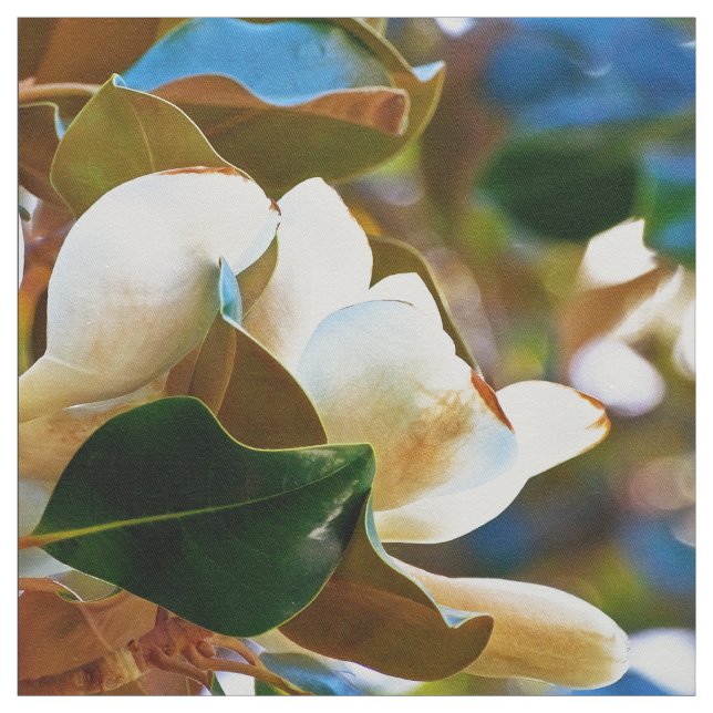 Magnoliavitblommor Tyg (Provkarta)