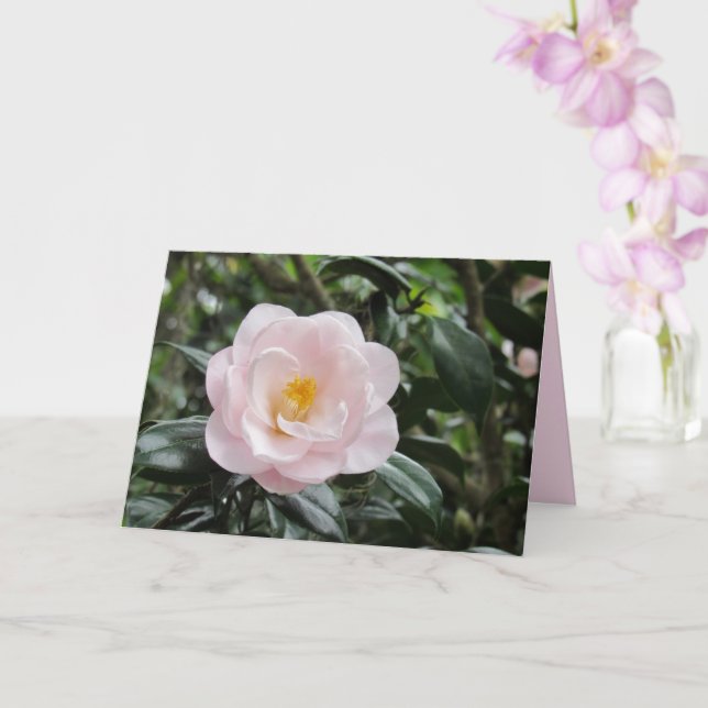 Magnolieflora Camellia Flower Greeting Card Kort (Orkide)