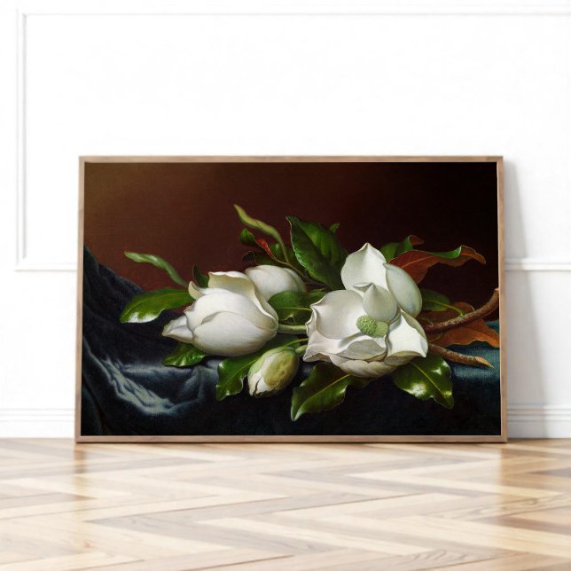 Magnolior på Ljusblå av Martin Johnson Heade Poster (Skapare uppladdad)