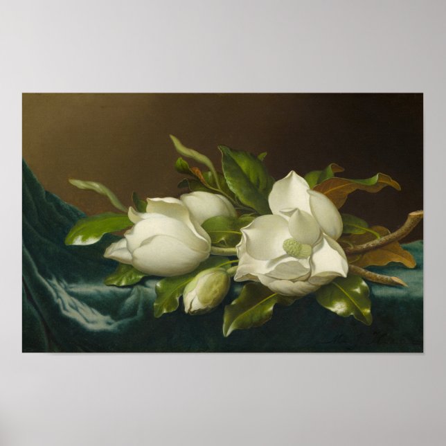 Magnolior på ljusblå sammetsduk, Berömd målning Poster (Framsidan)