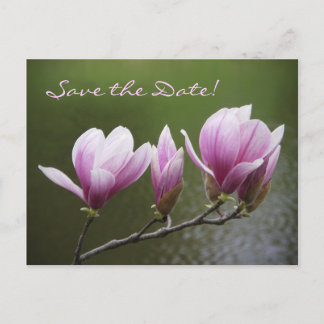 Magnolior, spara datum! meddelande vykort