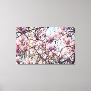 Magnolisk blomning i träd canvastryck
