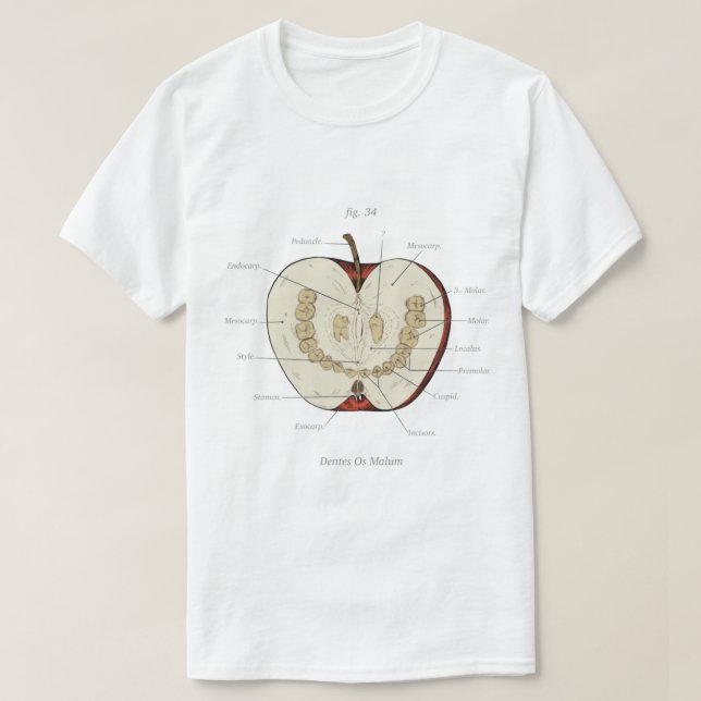 Magnus Archives - Anatomy Class - Teeth Apple T Shirt (Design framsida)