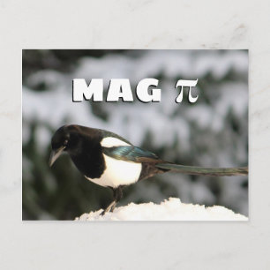 Magpi vykort