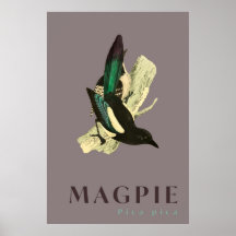 Magpie bird vintage affisch