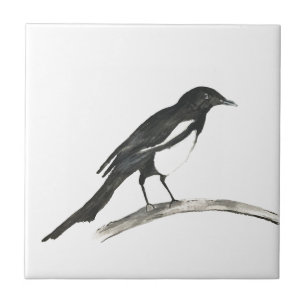 Magpie Bird Wildlife Watercolor Nature Cute Kakelplatta