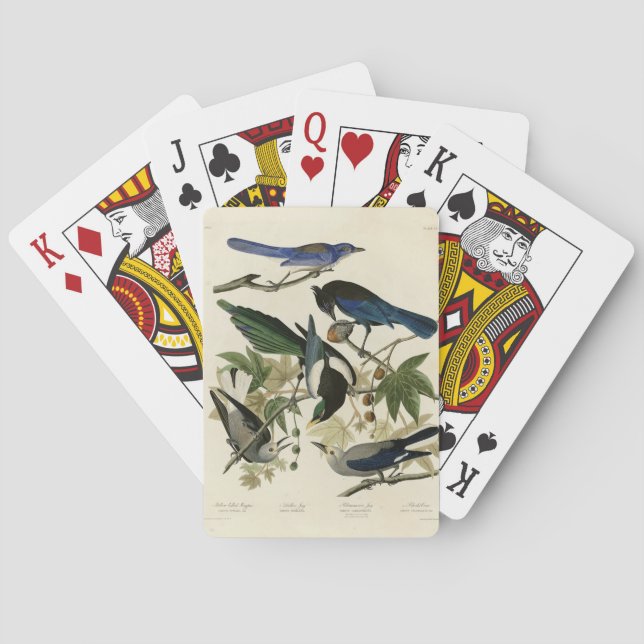 Magpie Jays & Nutcracker Audubon Birds of America Casinokort (Baksidan)