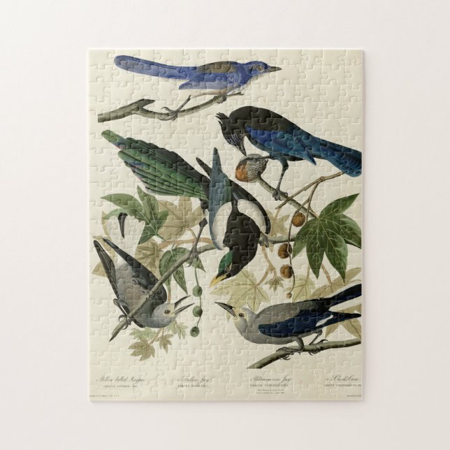 Magpie Jays & Nutcracker Audubon Birds of America Pussel (Vertikal)