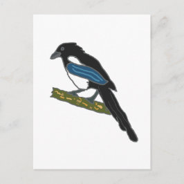 Magpie Vykort