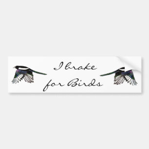 Magpie - Watercolor Bird Bildekal