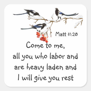Magpies Bird Bible Scripture, Matt 11:28 Fyrkantigt Klistermärke