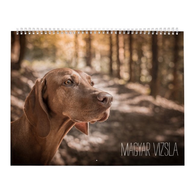Magyar Vizsla Hunde Kalender (Omslag)