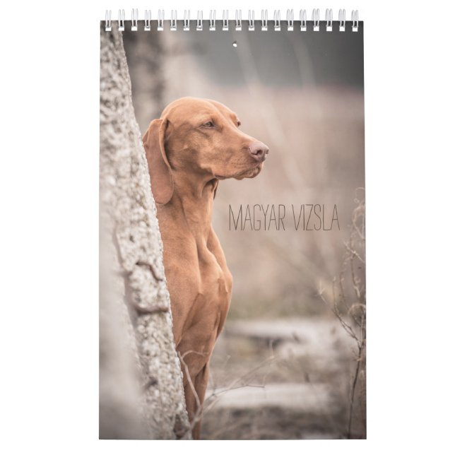 Magyar Vizsla Hunde Kalender (Omslag)